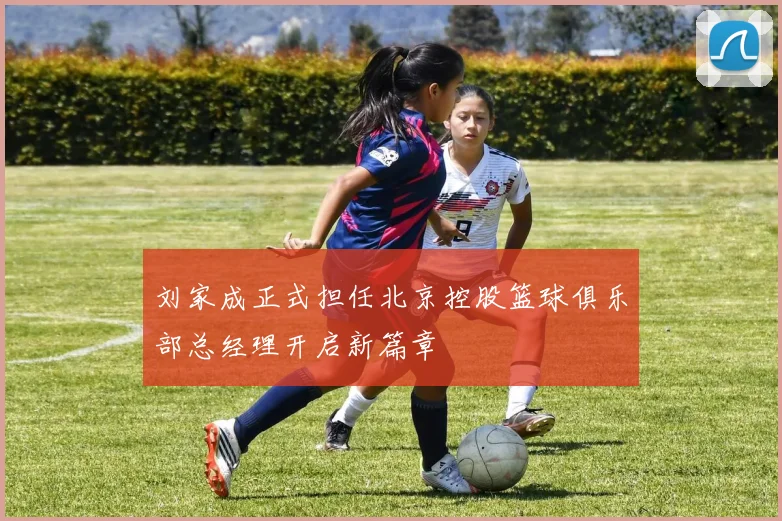 刘家成正式担任北京控股篮球俱乐部总经理开启新篇章